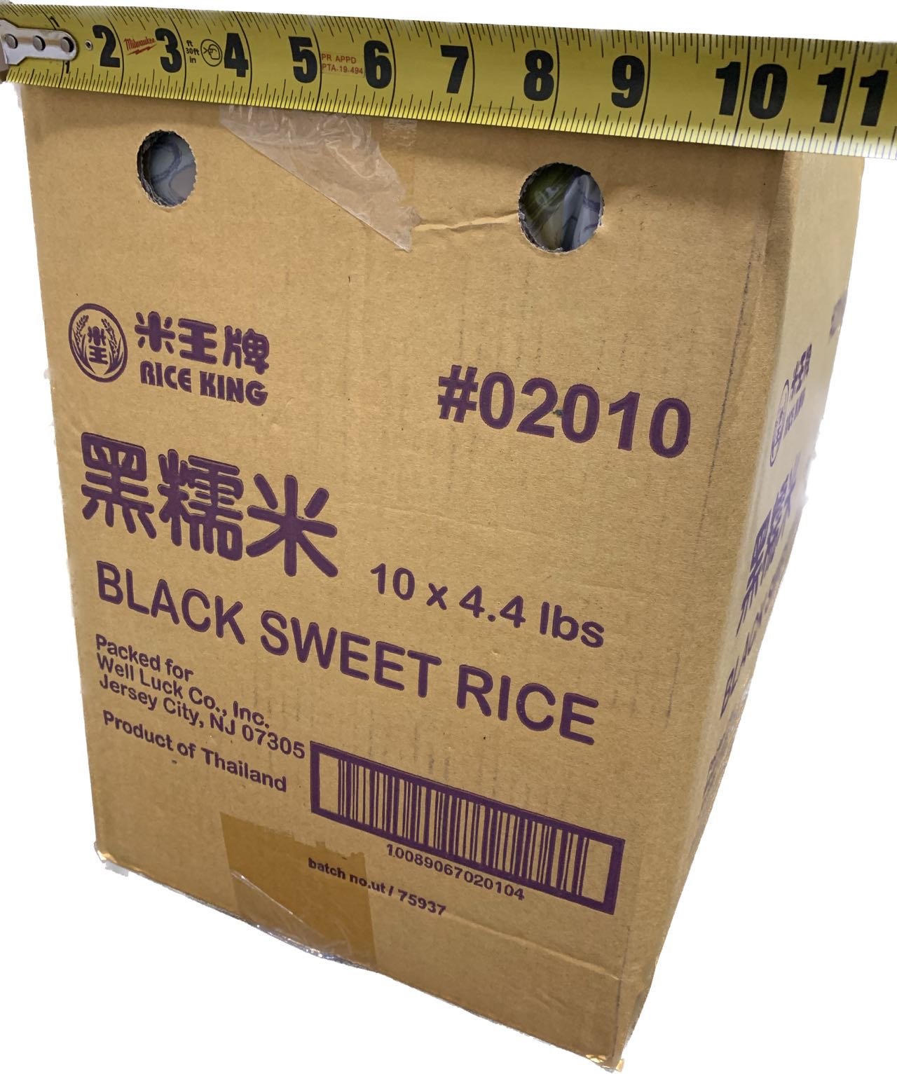 02010_cs1.jpg